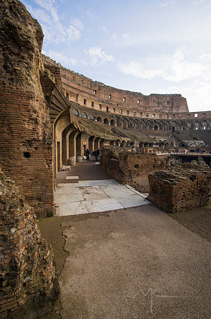 The Flavian Amphitheater