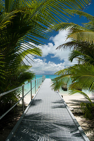 Welcome to Paradise