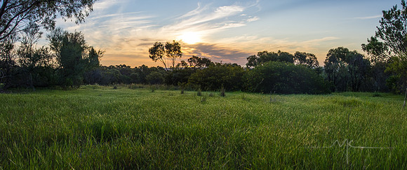 PENT0441-Edit.jpg