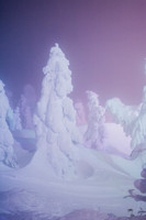 Snow Monsters