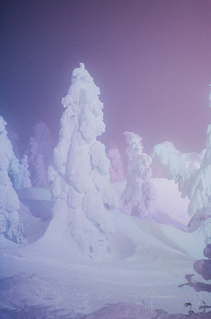 Snow Monsters