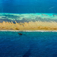 Bright Reef