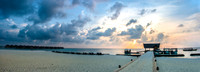 MorningMoofushi