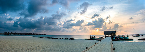 MorningMoofushi